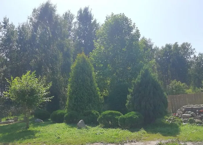 Lesne Apartamenty